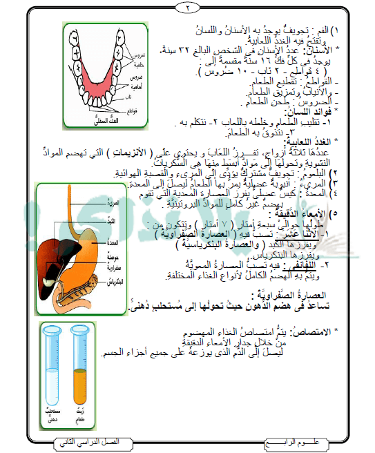 مذكرة علوم للصف الرابع الابتدائي الترم الثاني