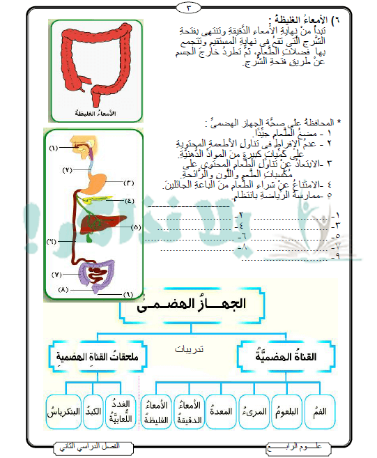 مذكرة علوم للصف الرابع الابتدائي الترم الثاني