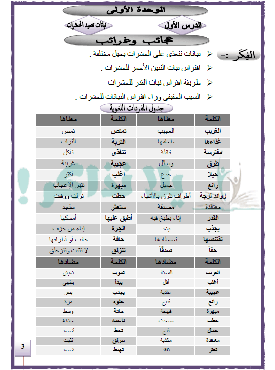 مذكرة لغة عربية للصف الرابع الإبتدائي ترم ثاني