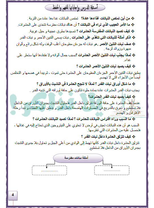 مذكرة لغة عربية للصف الرابع الإبتدائي ترم ثاني
