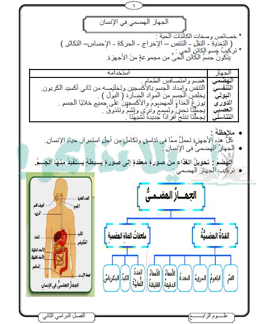 مذكرة علوم للصف الرابع الابتدائي الترم الثاني