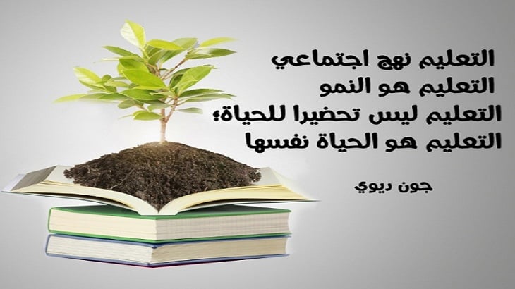موضوع تعبير عن تطوير التعليم في مصر بالعناصر