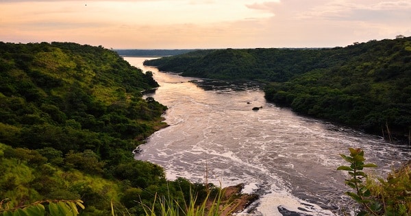 مقال عن نهر النيل شريان الحياة