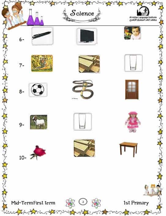 منهج أولى ابتدائي science لغات ترم اول pdf