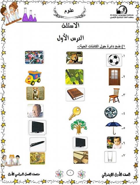 المراجعة النهائية علوم للصف الأول الإبتدائي