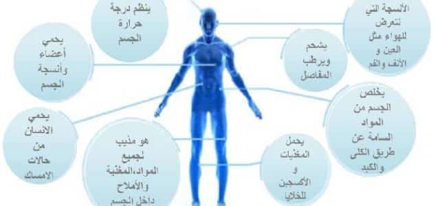 بحث عن اهمية الماء للكائنات الحية