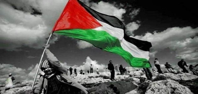 بحث عن القضية الفلسطينية جاهز