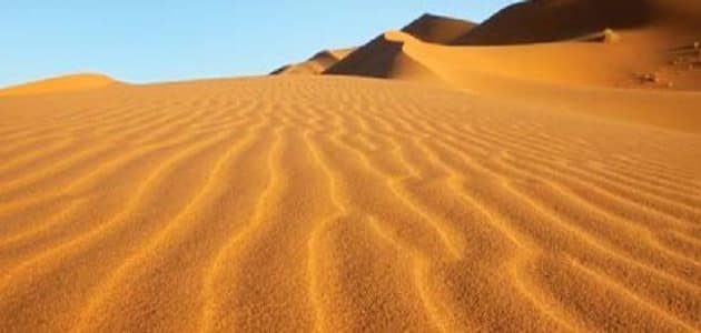 بحث عن البيئة الصحراوية وخصائصها | يلا نذاكر