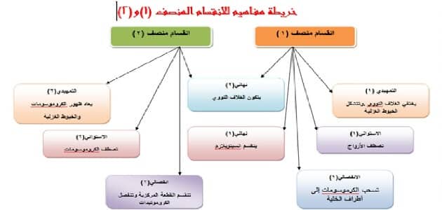 بحث عن الاحياء اولى ثانوي