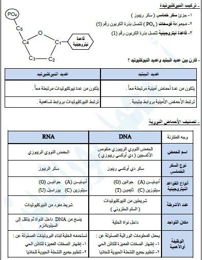 مذكرة احياء للصف الاول الثانوي الترم الأول