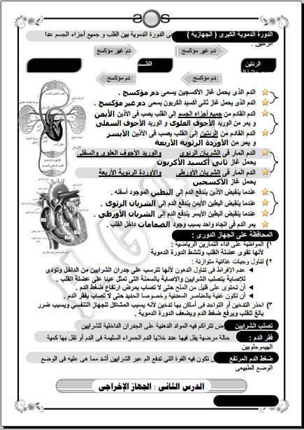 مذكرة علوم الصف الخامس الابتدائي ترم ثاني سؤال وجواب