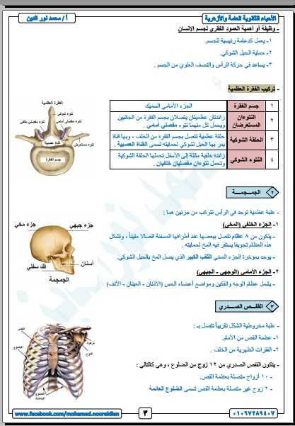 مذكرة احياء كاملة ثانوية عامة