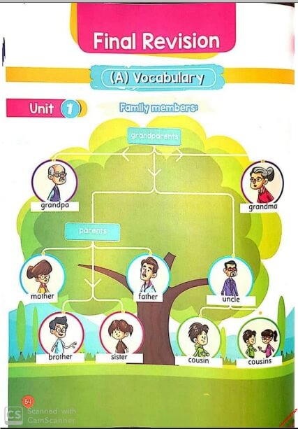 منهج اللغة الانجليزية Connect 2 للصف الثاني الابتدائي