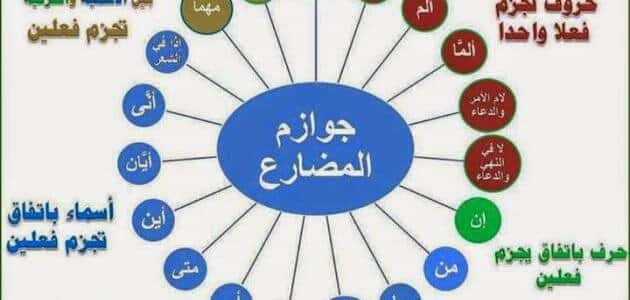 ادوات الجزم في اللغة العربية