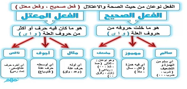 الفعل الصحيح والمعتل وانواعه