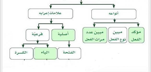 انواع المفعول المطلق مع التمثيل