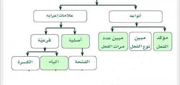 انواع المفعول المطلق مع التمثيل