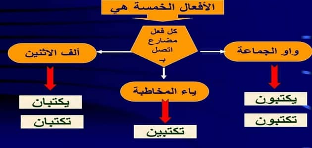 شرح الافعال الخمسة بالتفصيل