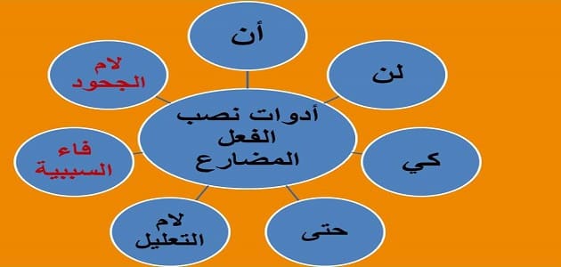 علامة نصب الفعل المضارع صحيح الاخر