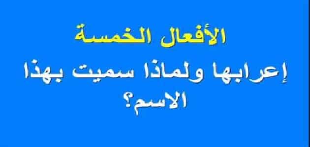 لماذا سميت الافعال الخمسة بهذا الاسم ؟ - يلا نذاكر