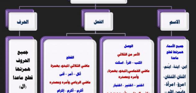 همزة الوصل تكون في الأسماء والأفعال والحروف