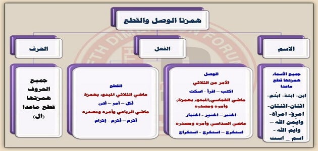 همزة الوصل والقطع والمتوسطة والمتطرفة