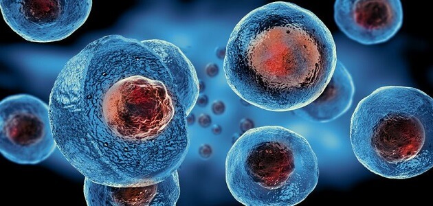 علم الأحياء الخلوية والجزيئية