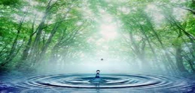 موضوع تعبير عن أهمية الماء للإنسان والحيوان والنبات