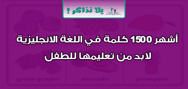 أشهر 1500 كلمة في اللغة الانجليزية لابد من تعليمها للطفل