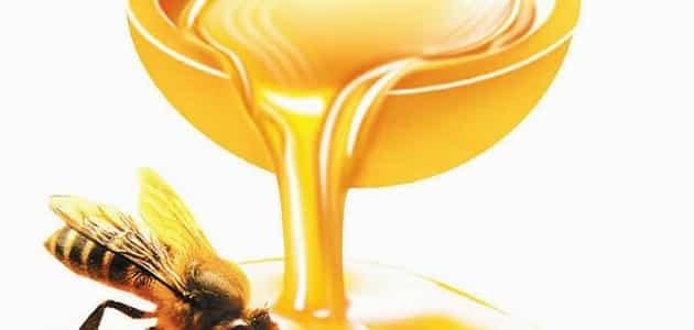 بحث علمي عن العسل