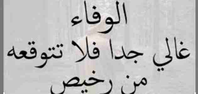 مقالة عن قيمة الوفاء