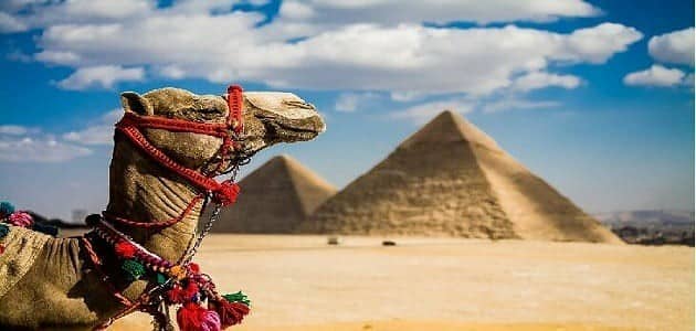 موضوع تعبير عن السياحة في مصر للصف الخامس الابتدائي والخاتمة