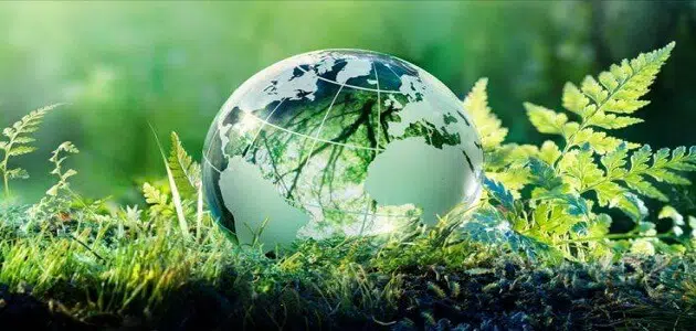 7. تأثير التلوث على الصحة والبيئة