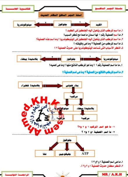 مذكرة أحياء الثالث الثانوي