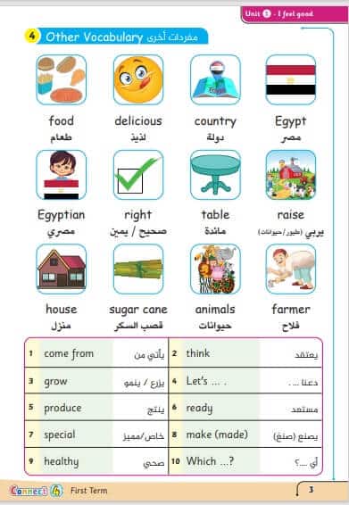 ملزمة كونكت للصف الرابع الابتدائي ترم ثاني