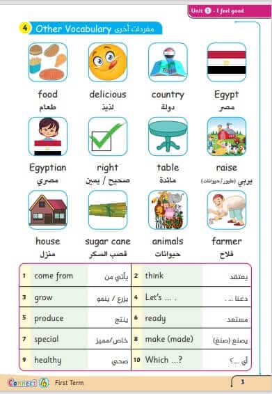 ملزمة كونكت للصف الرابع الابتدائي ترم ثاني 