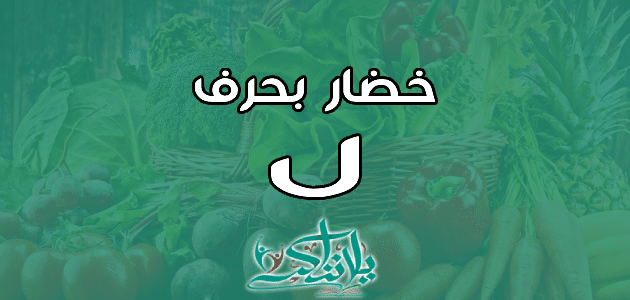 اسم خضار بحرف اللام ل - يلا نذاكر