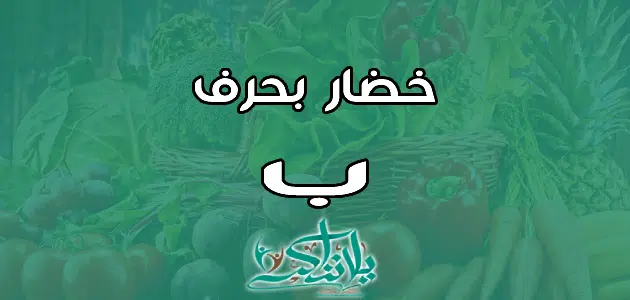 اسم خضار بحرف الباء ب