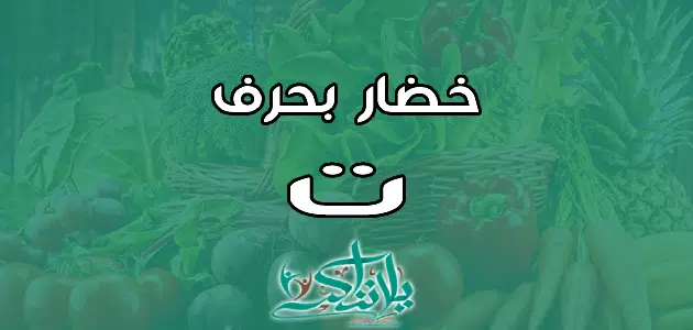 اسم خضار بحرف التاء ت