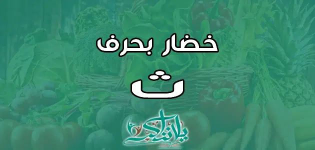 اسم خضار بحرف الثاء ث