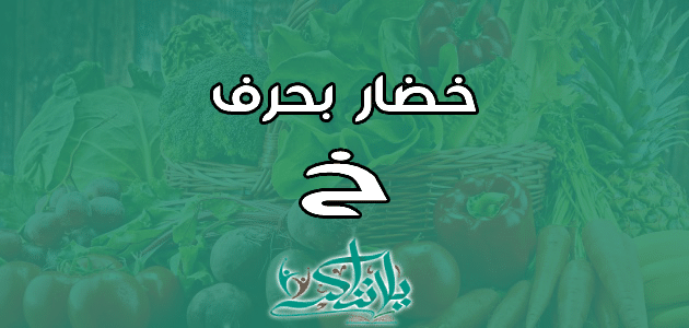 اسم خضار بحرف الخاء خ