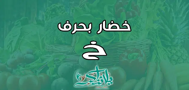 اسم خضار بحرف الخاء خ