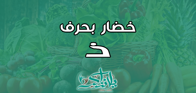 اسم خضار بحرف الذال ذ
