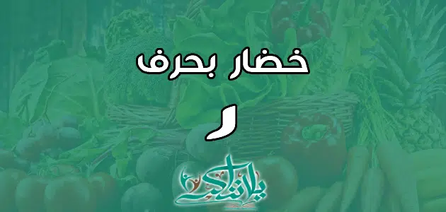 اسم خضار بحرف الراء ر