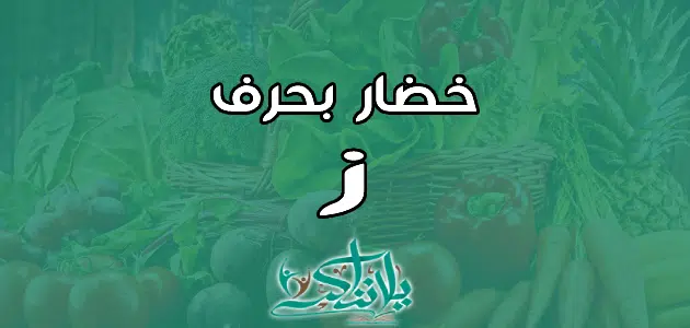 اسم خضار بحرف الزاي ز