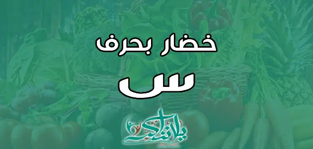 اسم خضار بحرف السين س