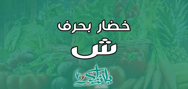 اسم خضار بحرف الشين ش