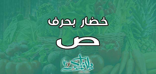 اسم خضار بحرف الصاد ص