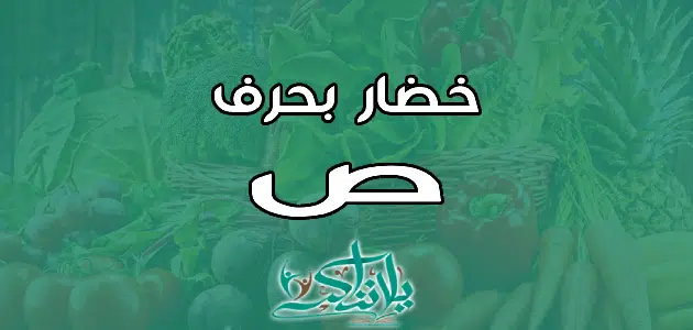 اسم خضار بحرف الصاد ص