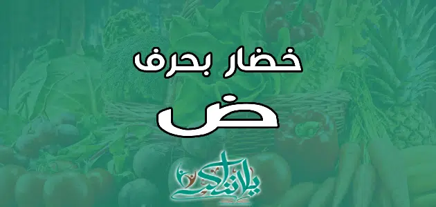 اسم خضار بحرف الضاد ض